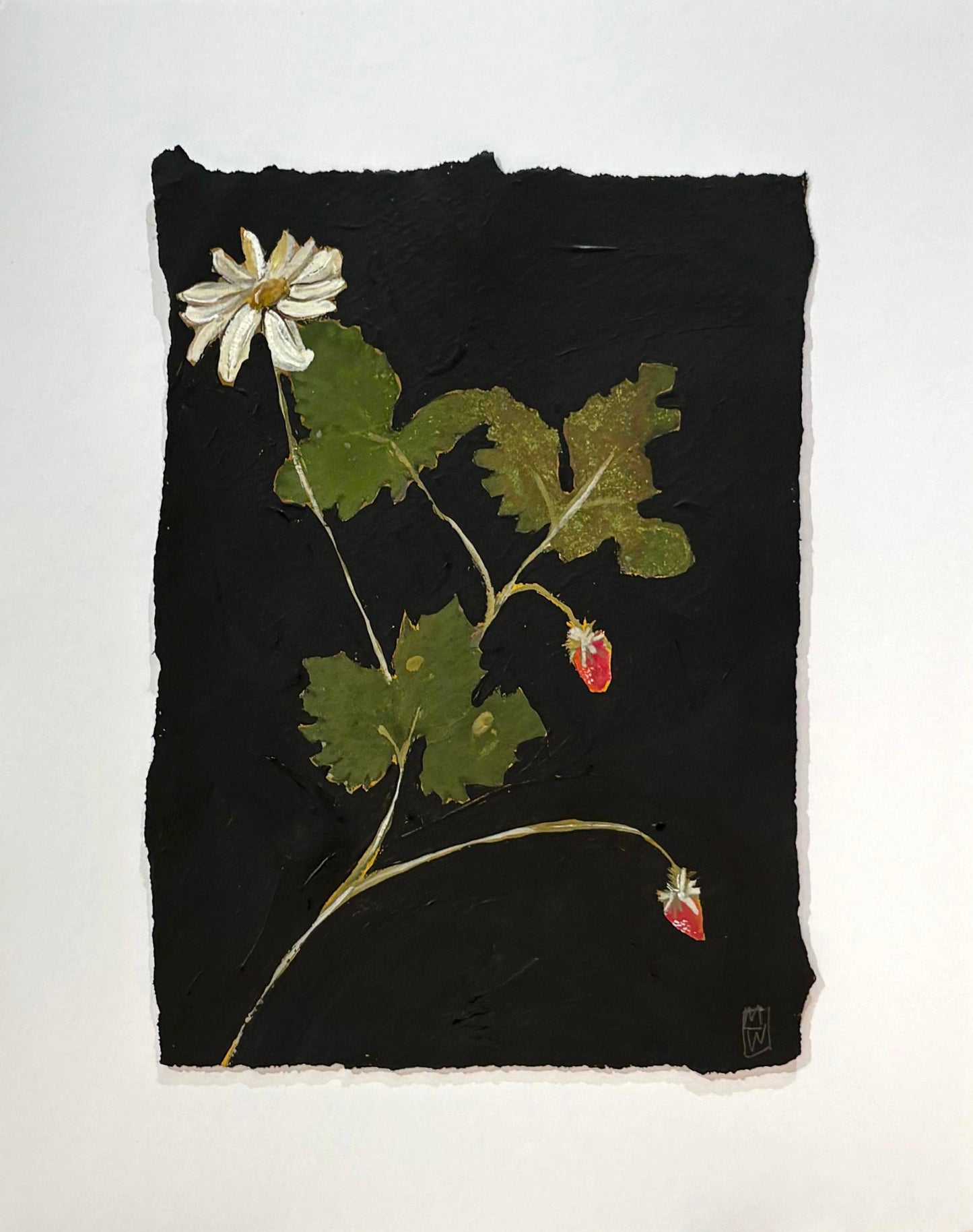 Grandmother's Better Homes and Gardens VII