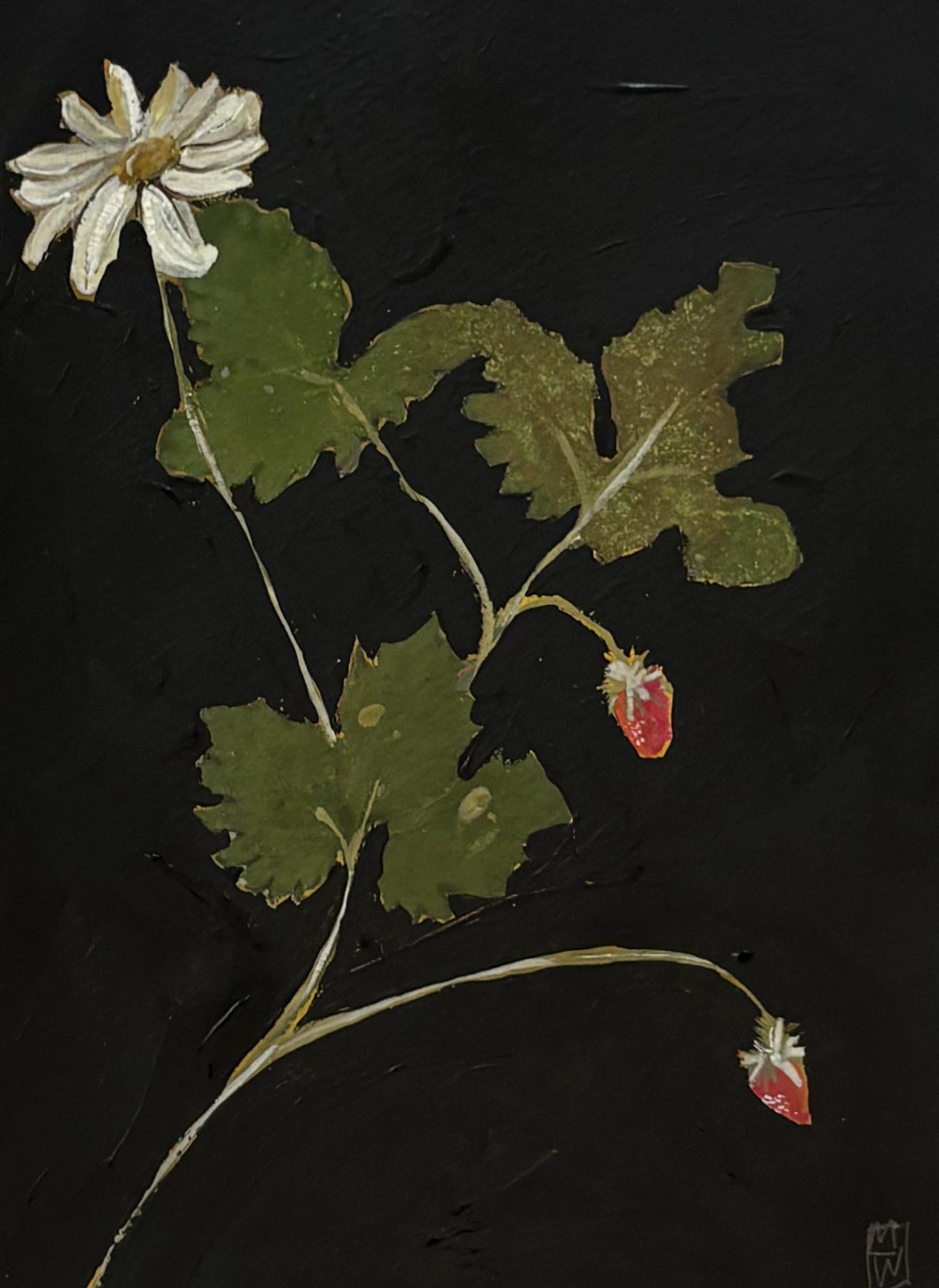 Grandmother's Better Homes and Gardens VII