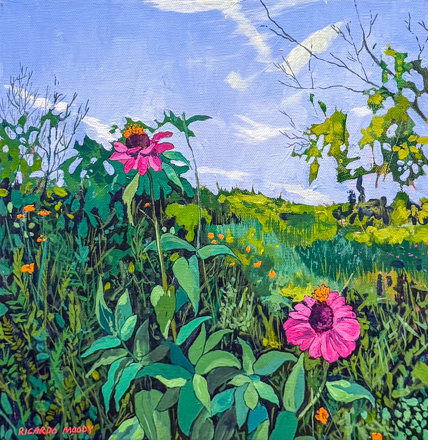 Summer Hymns - Field of Flowers