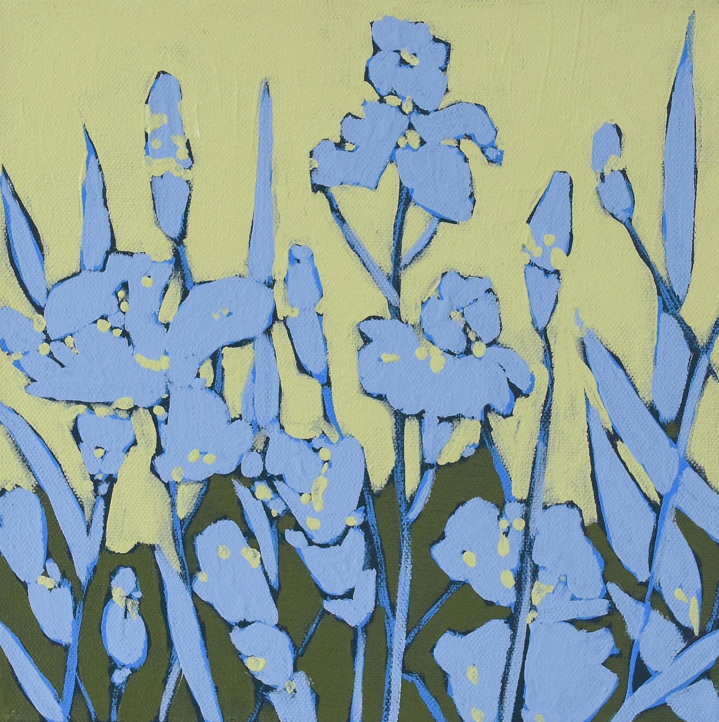 The Under Story - If Petals Could Wait
