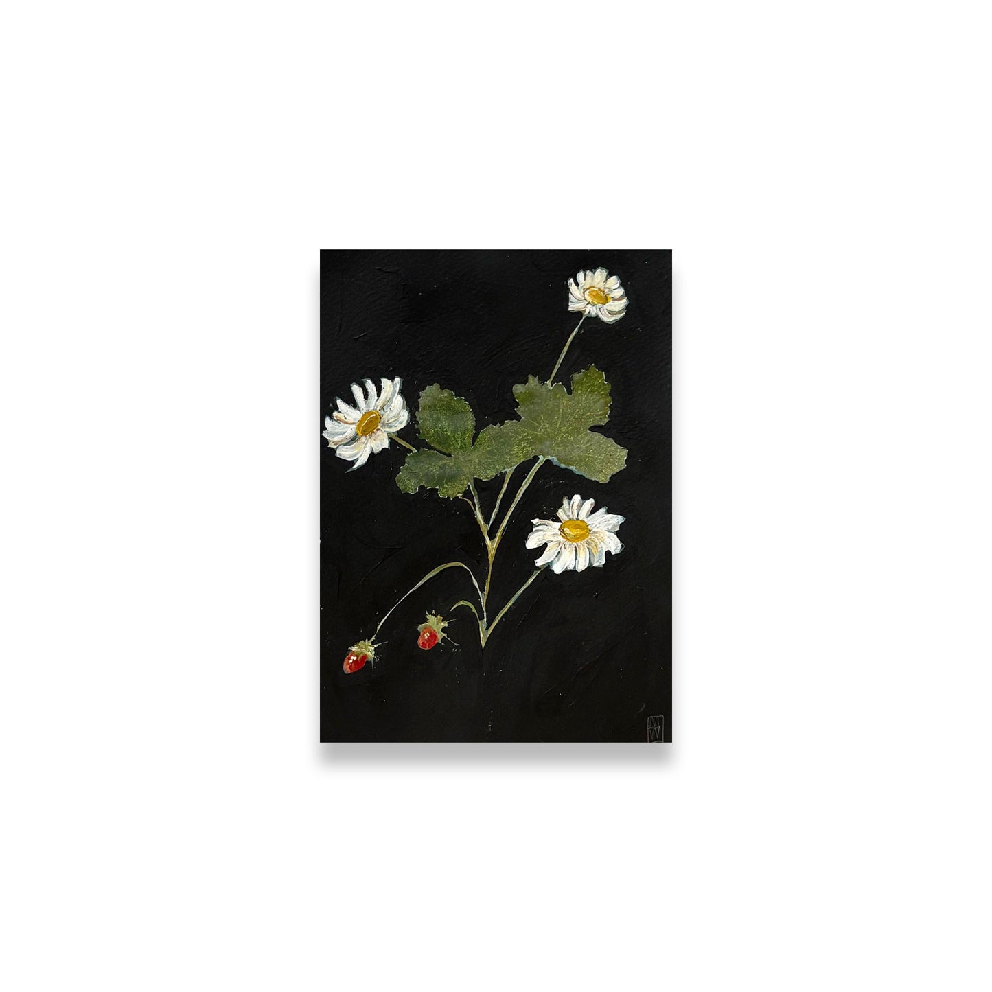 Grandmother's Better Homes and Gardens VIII