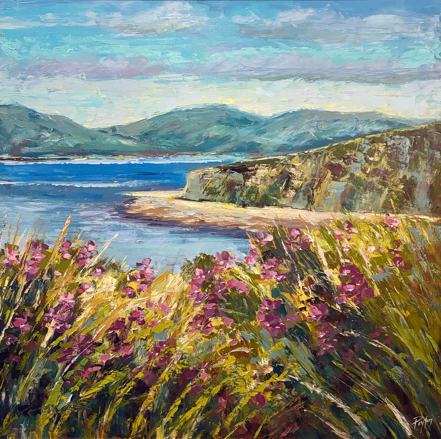 Ireland Coast