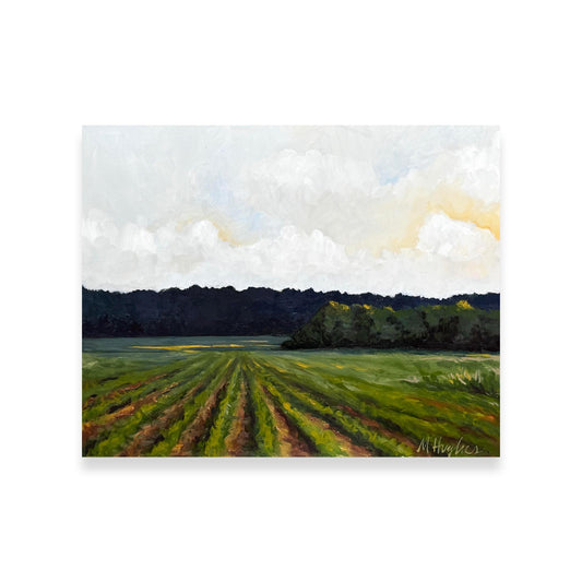 Roadside Mississippi - Itawamba County, Mississippi