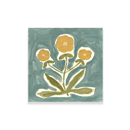 Jaipur Botanical II