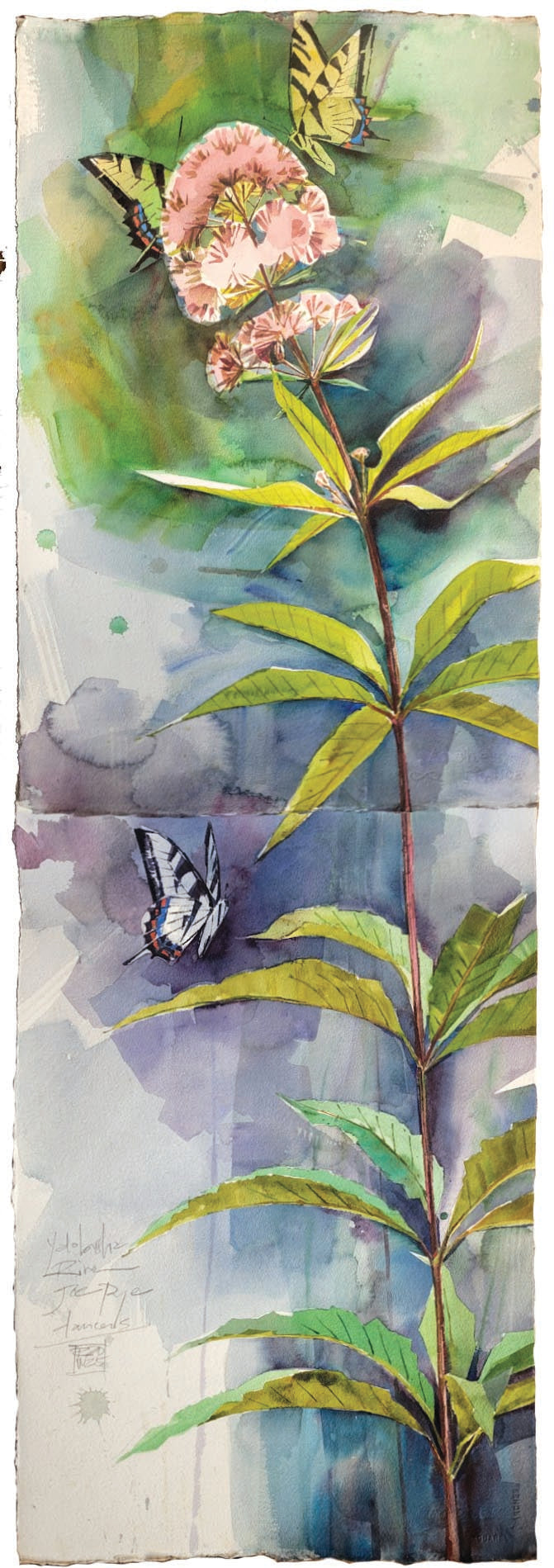 Joe Pye Weed & Swallowtails/Yalobusha River, July