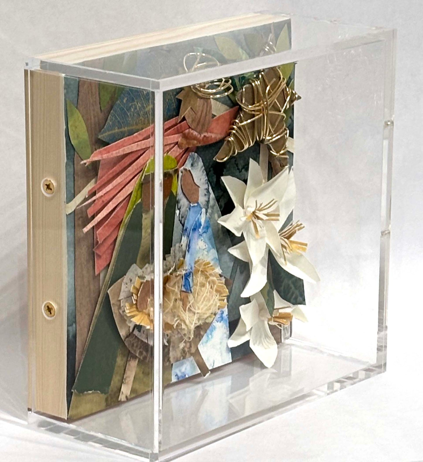 Joy - Joy To The World