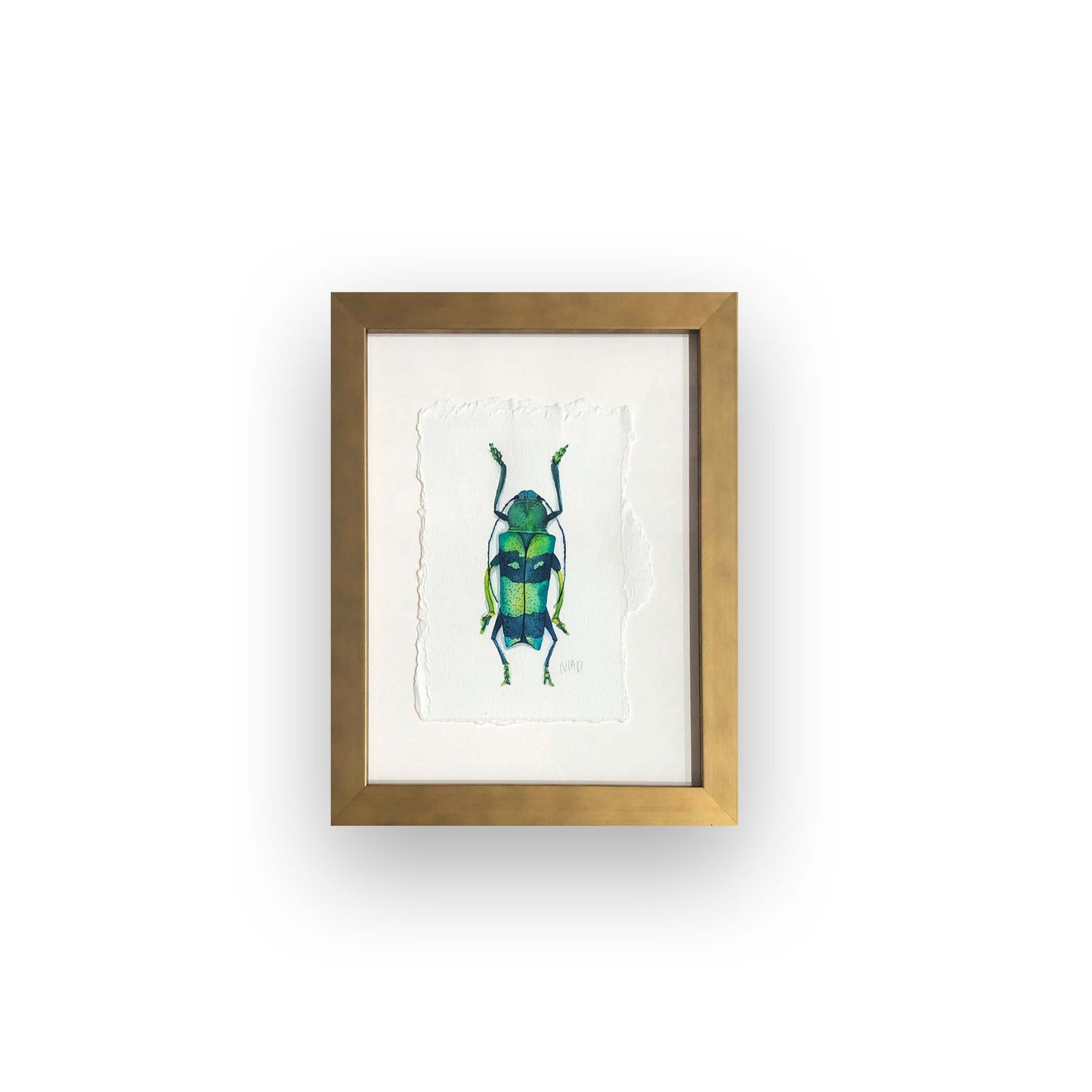 Watercolor Collection: Jungle Grass Beetle