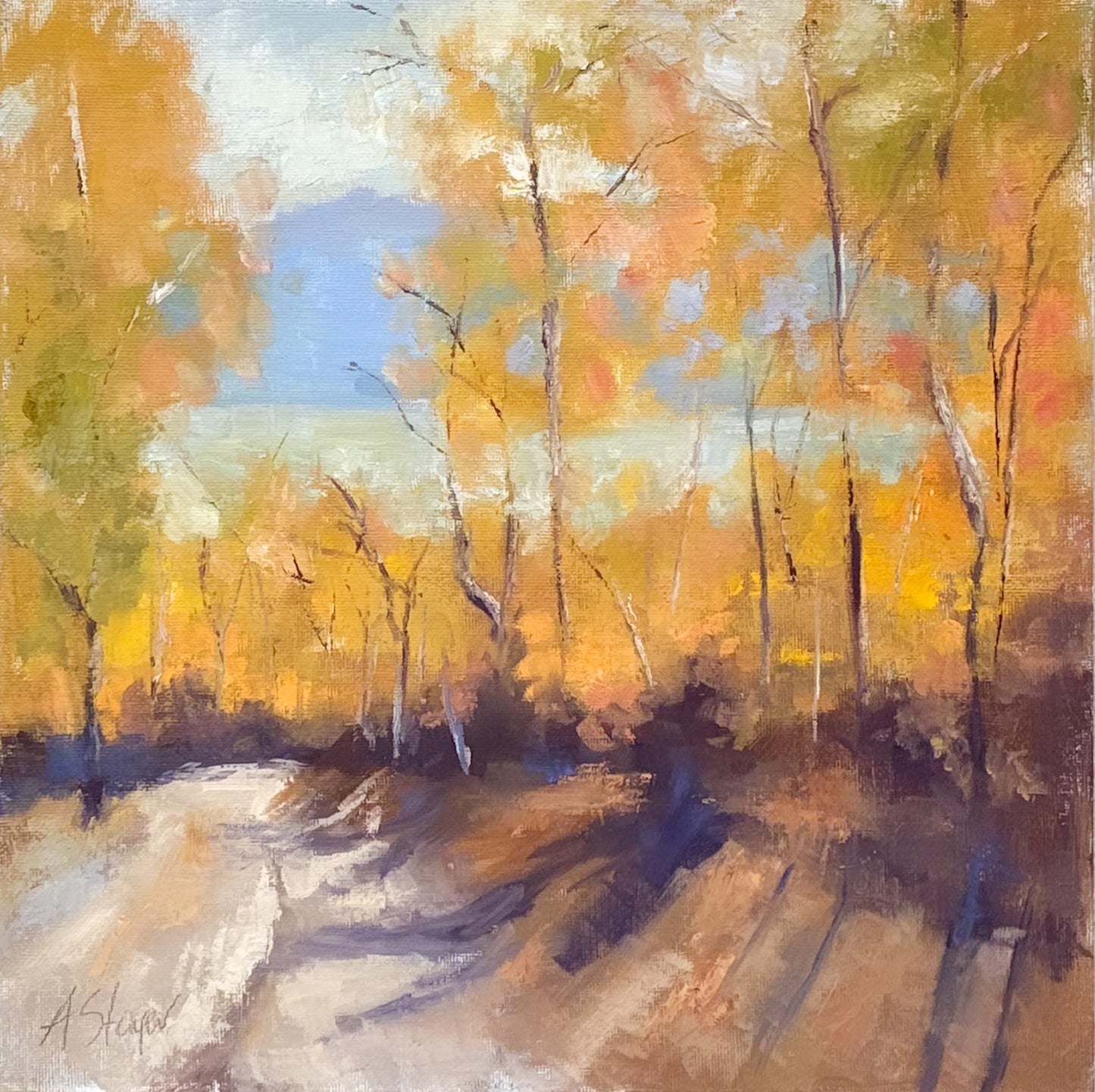Tides, Fields, and Familiar Roads - Lake Road