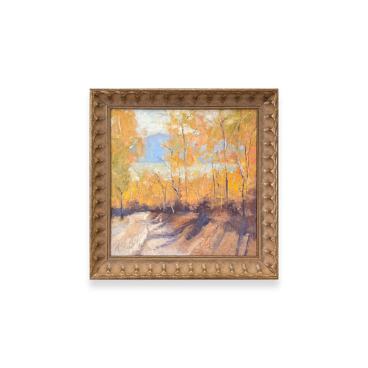 Tides, Fields, and Familiar Roads - Lake Road
