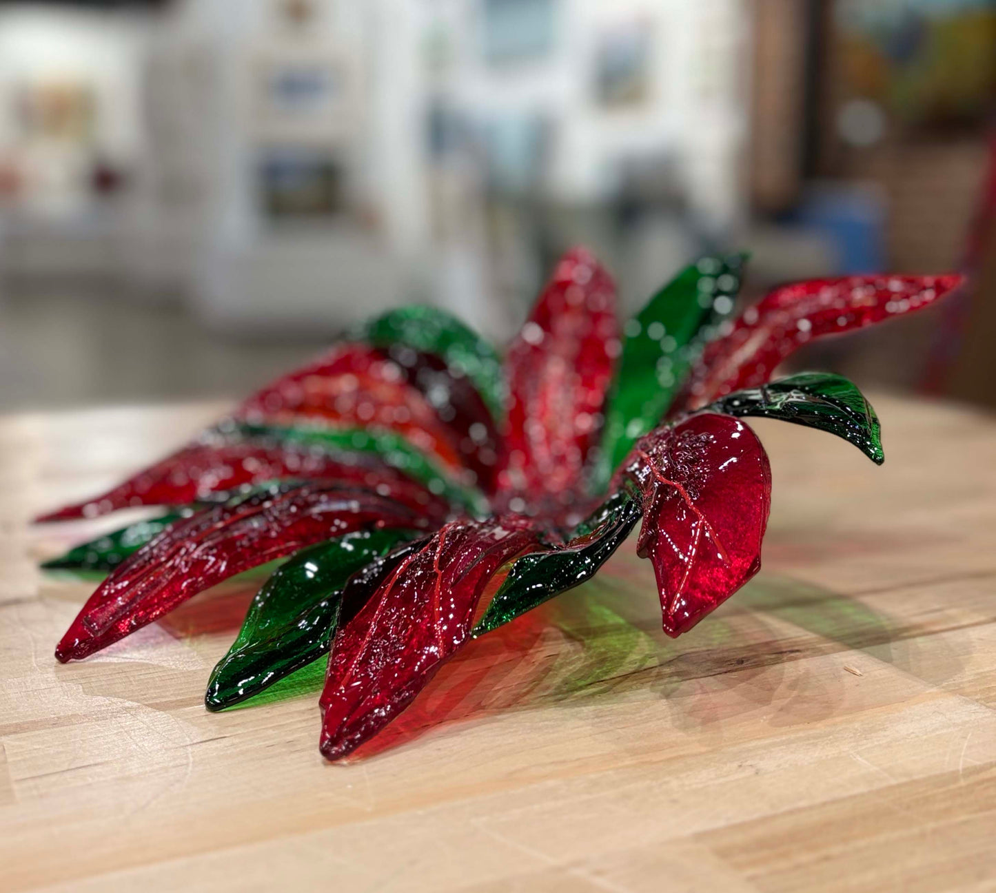 Hope - Large Poinsettia