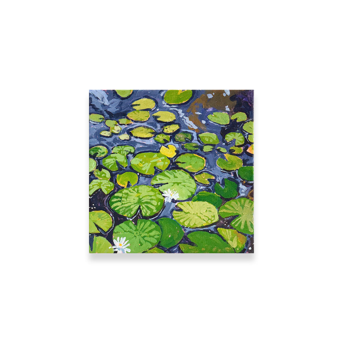 Lily Pads