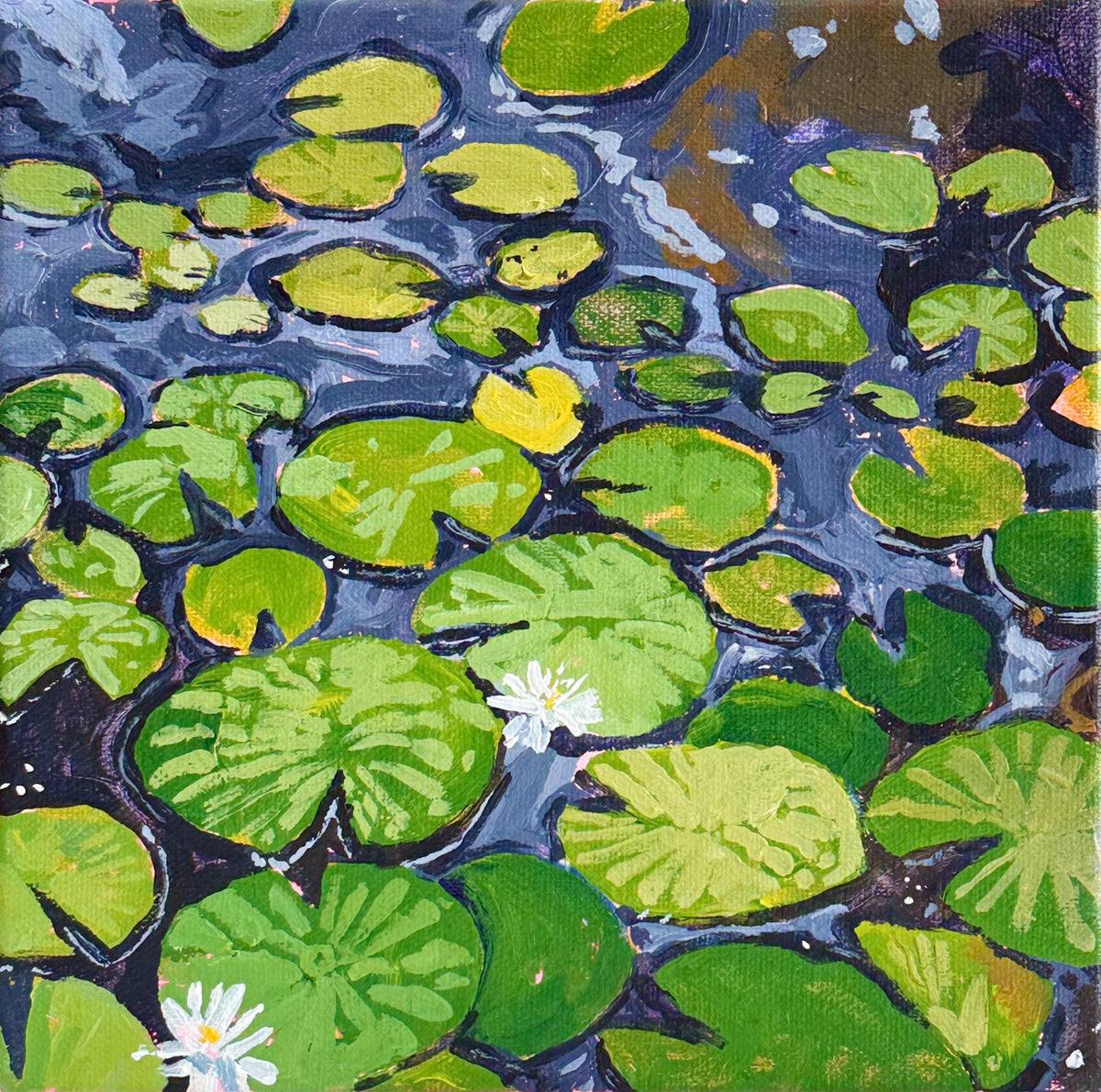 Lily Pads