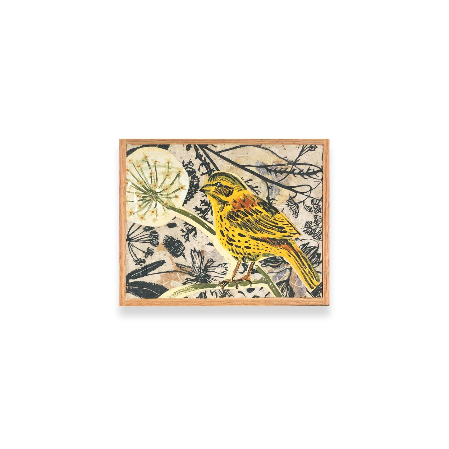 Woodland Wanderers - Little Yellowhammer