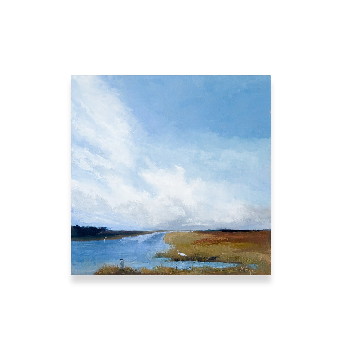 Low Country Light