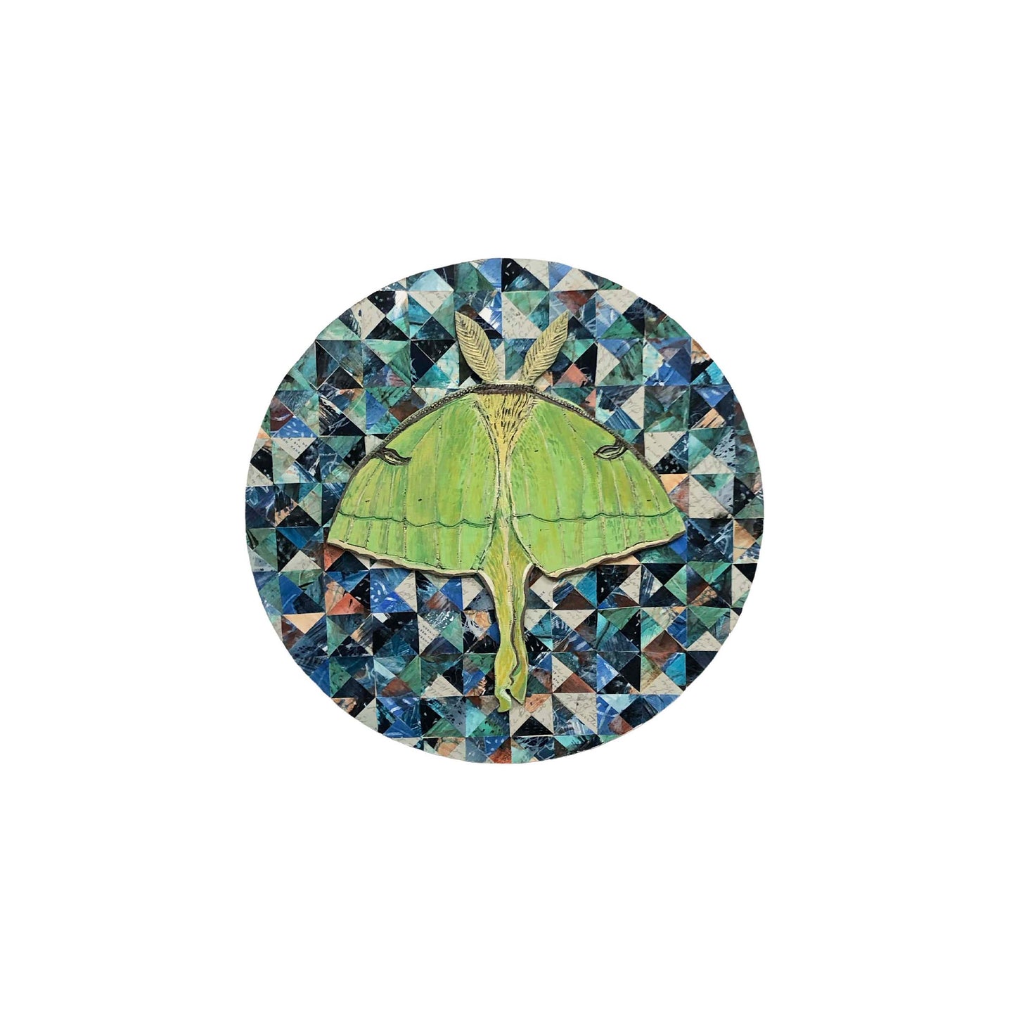 Woodland Wanderers - Luna Moth