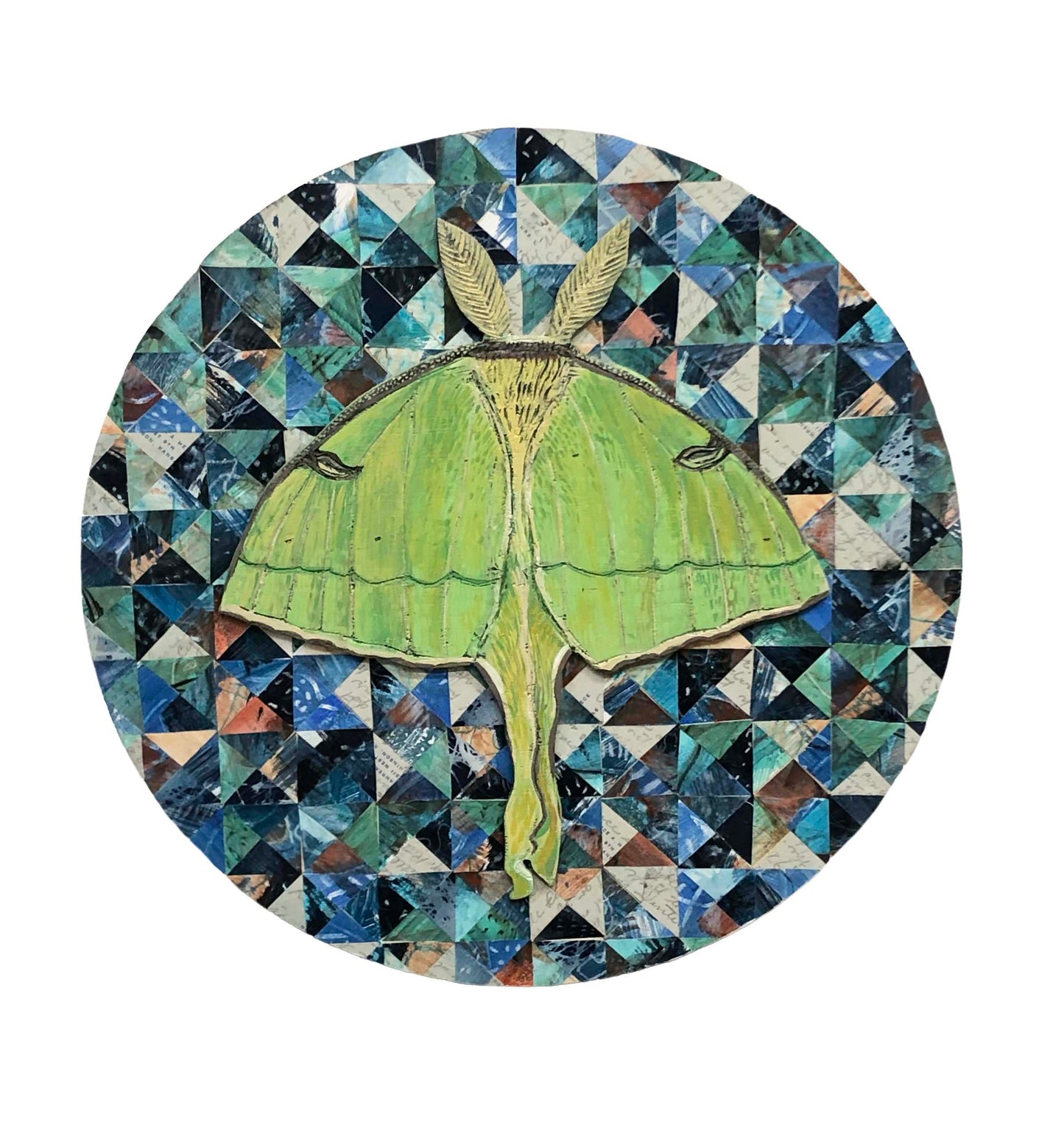 Woodland Wanderers - Luna Moth