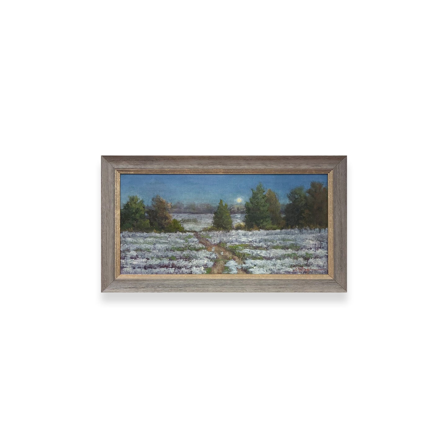 Mississippi: In A Certain Light - Moonlit Cotton