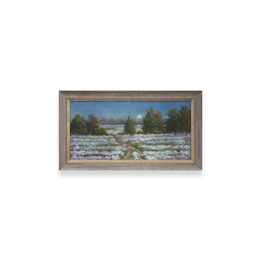 Mississippi: In A Certain Light - Moonlit Cotton
