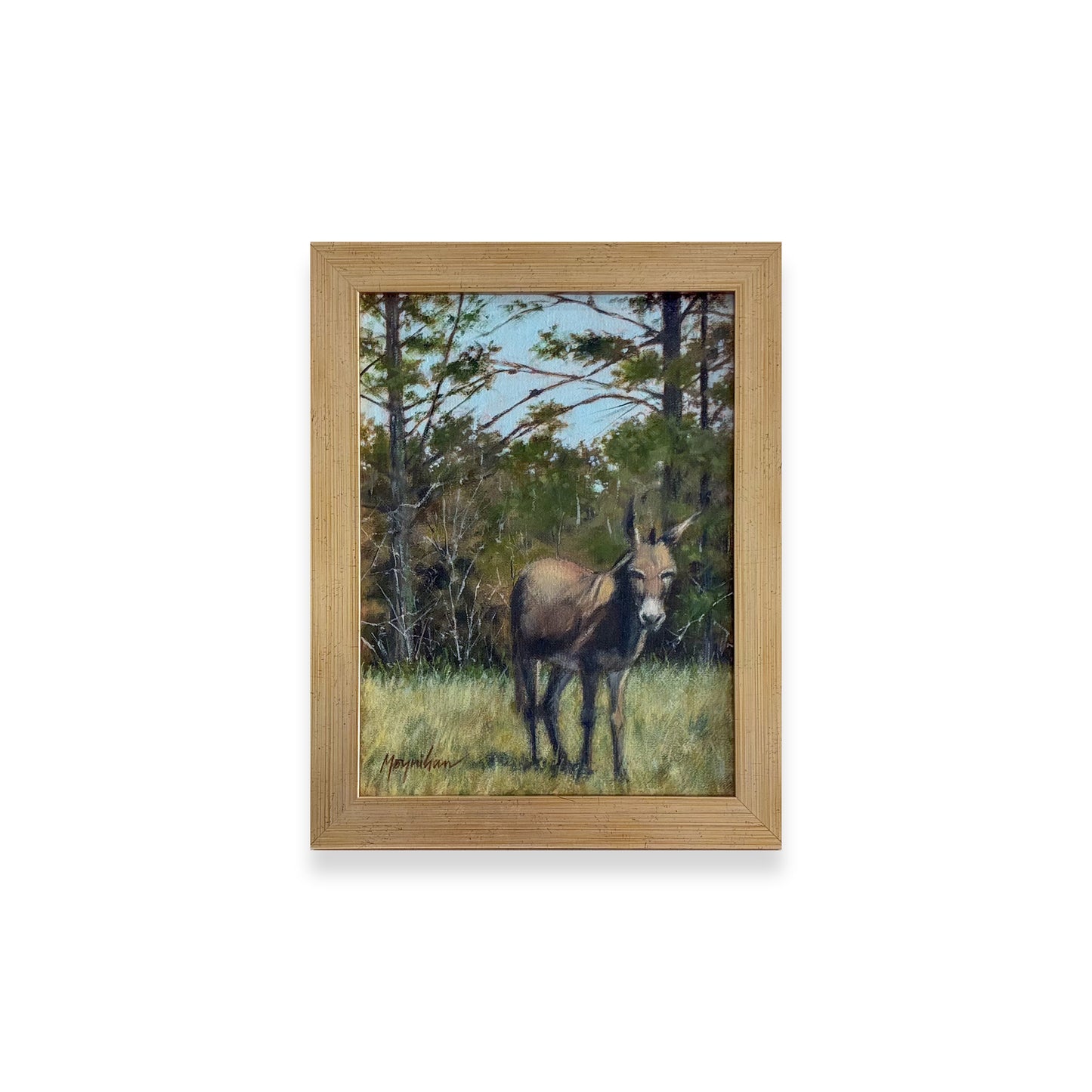 Napoleon The Mule