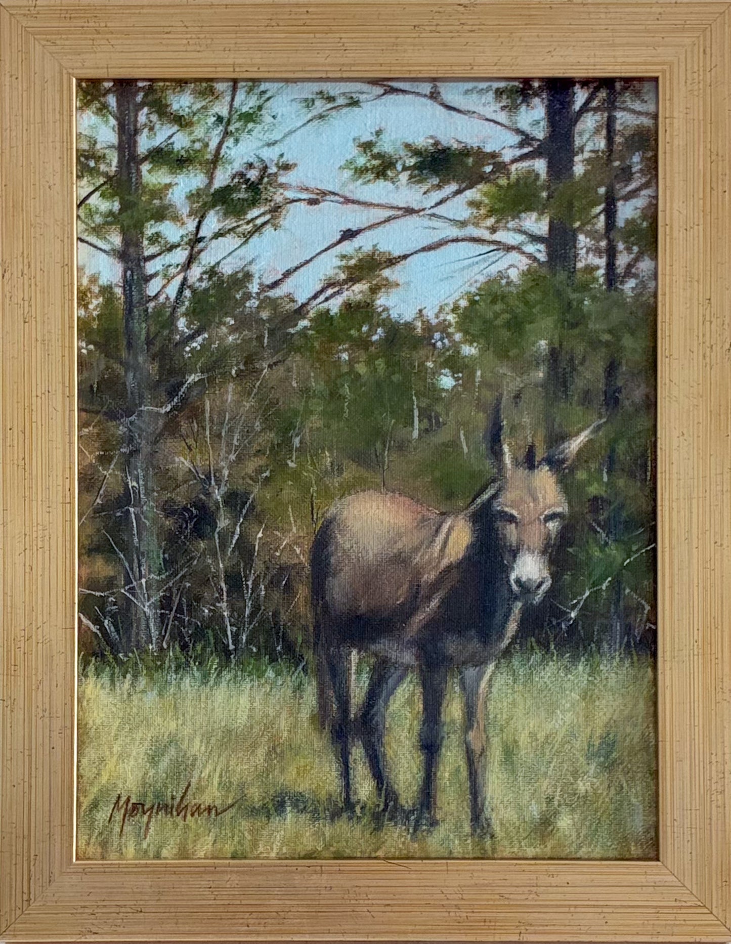 Napoleon The Mule