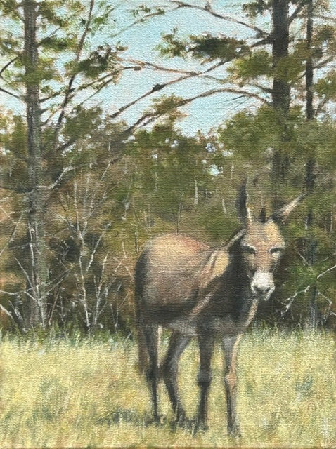 Napoleon The Mule