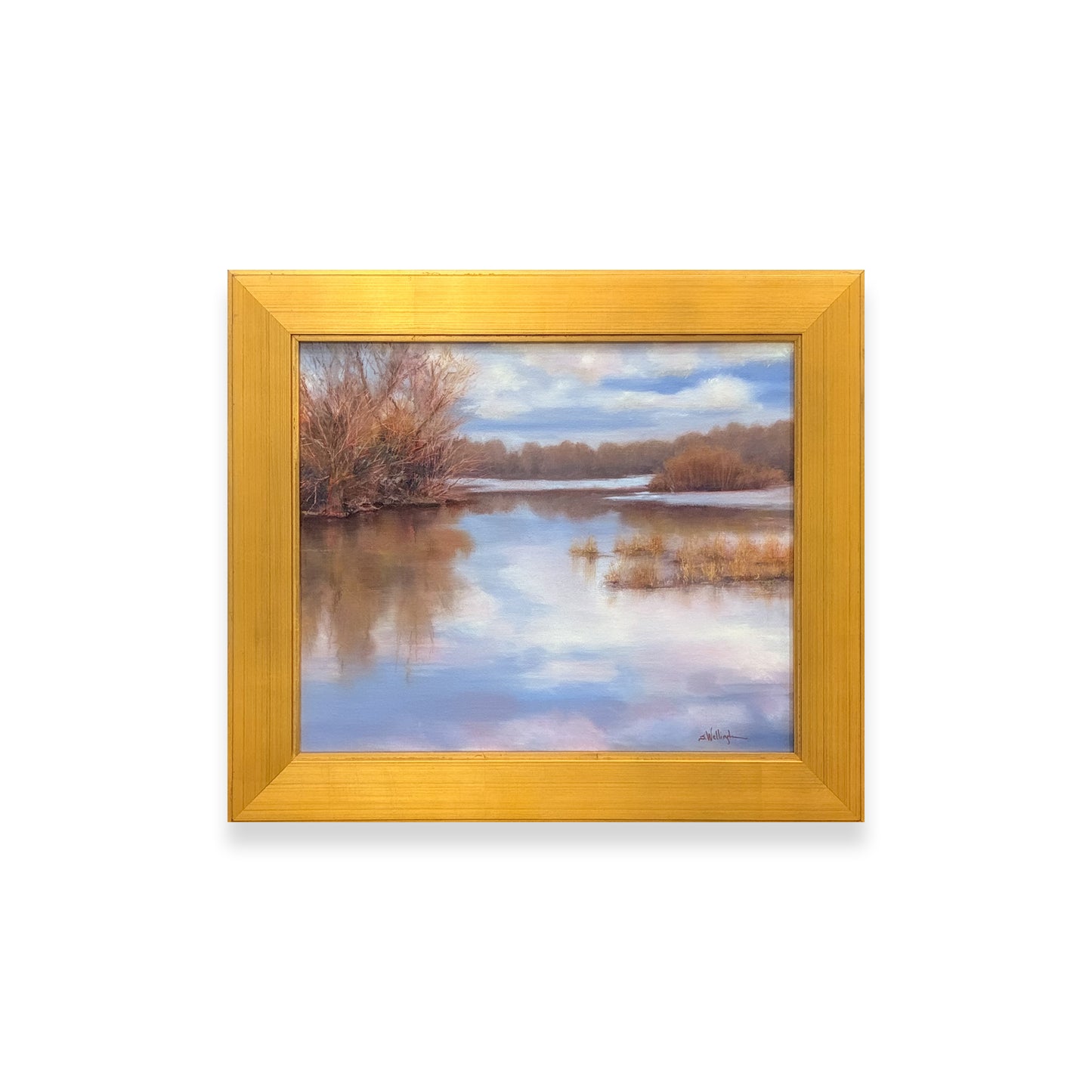 No Wind in These Willows