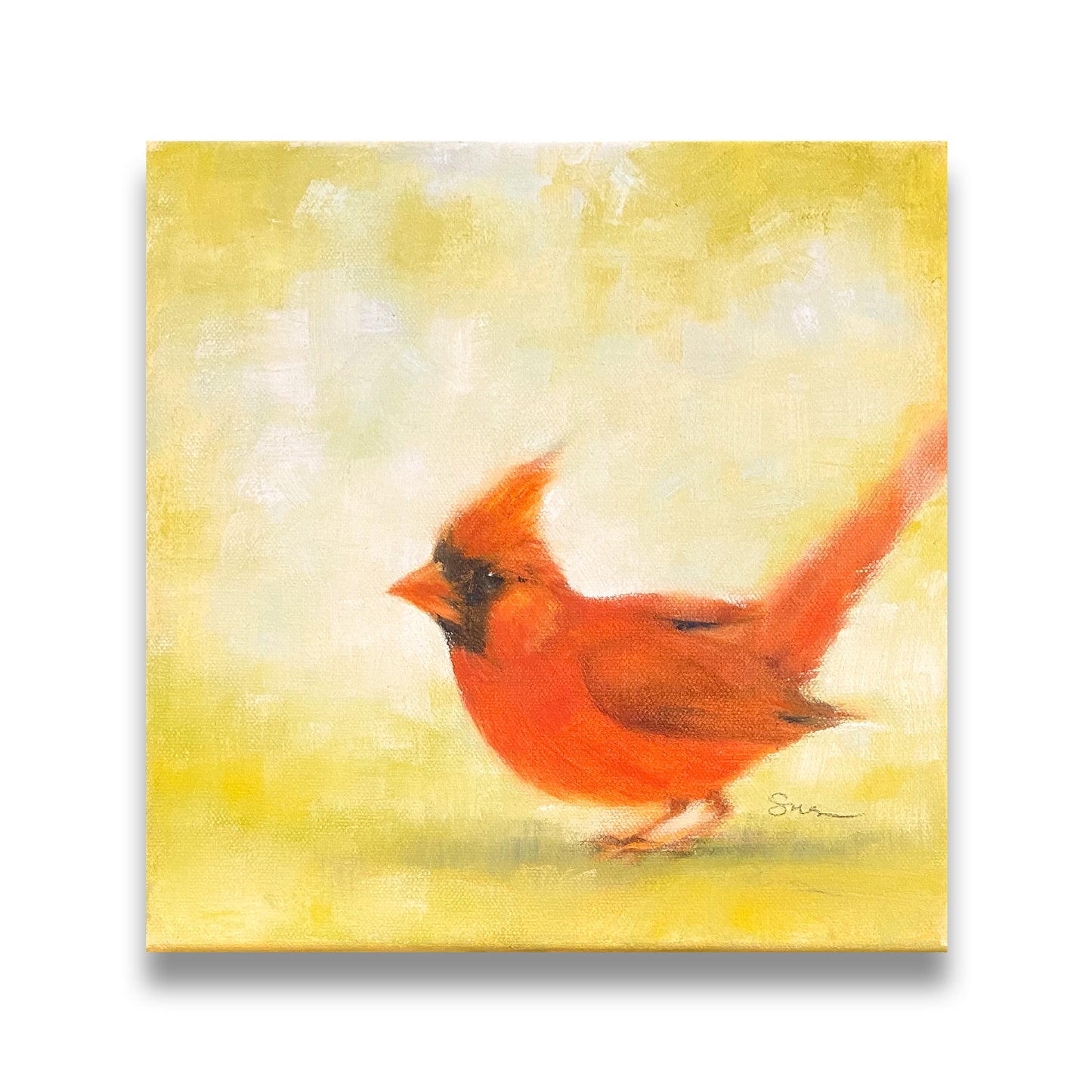 Northern Cardinal