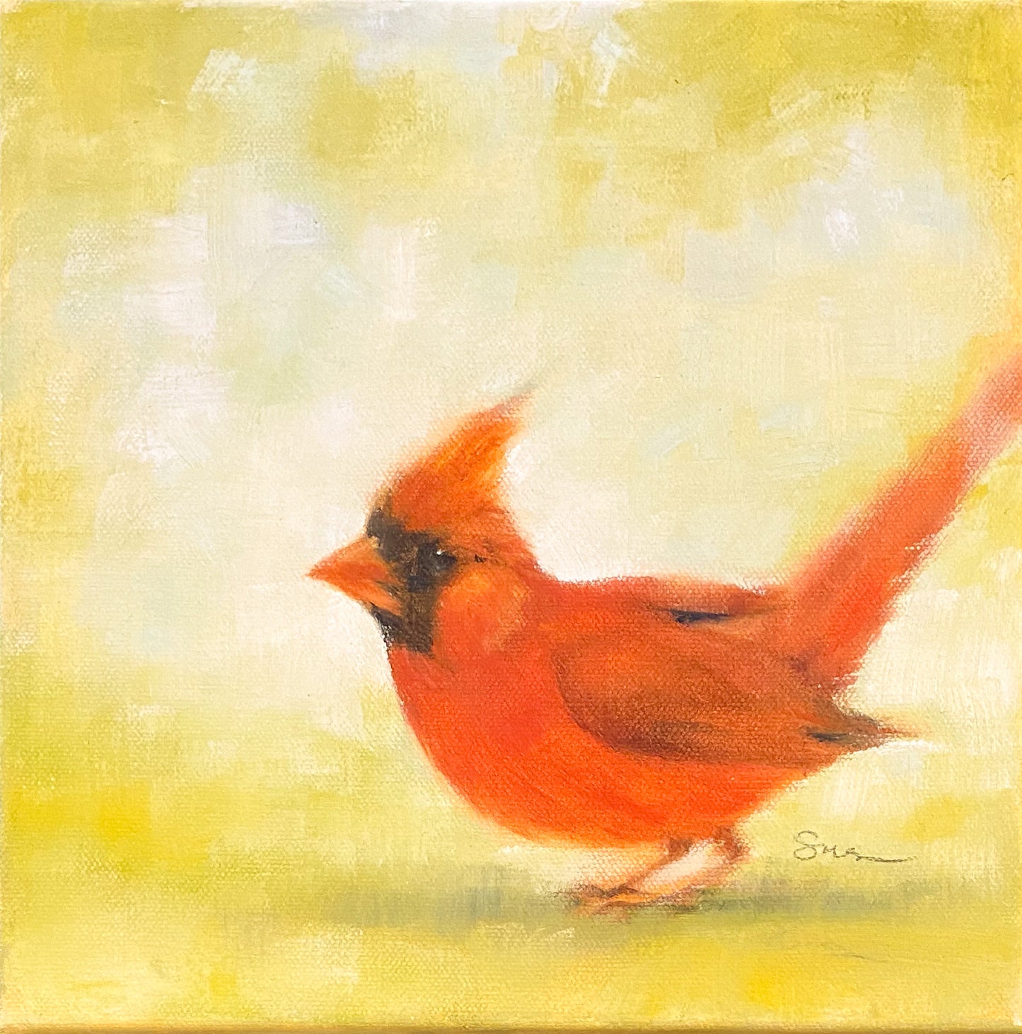 Northern Cardinal