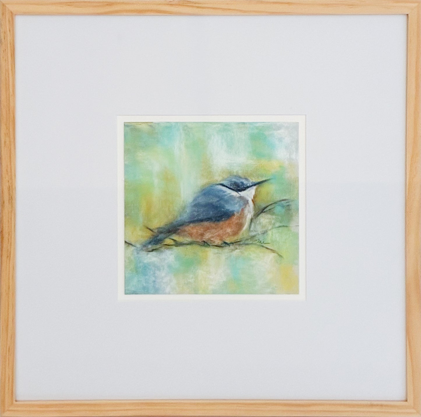 Nuthatch