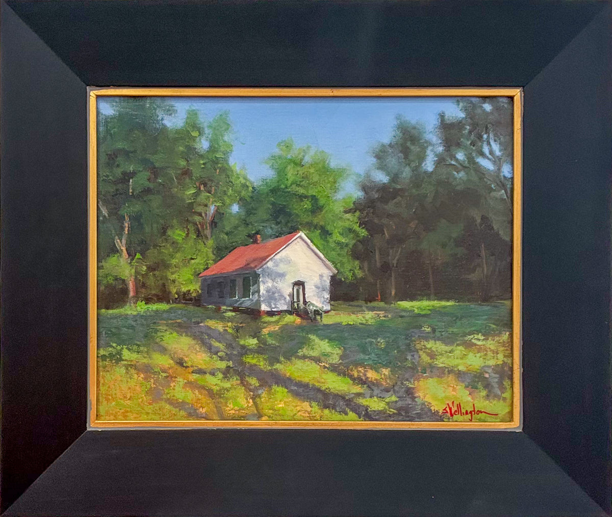 Mississippi: In A Certain Light - Out Of The Shadows