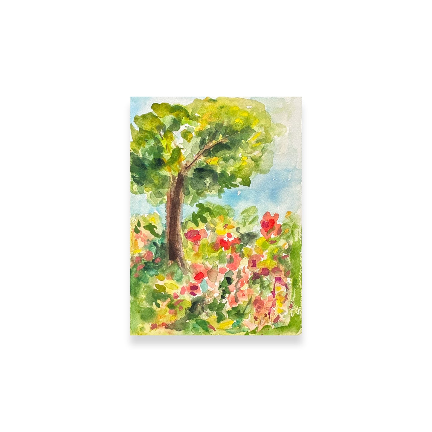 Drawing In The Park 10