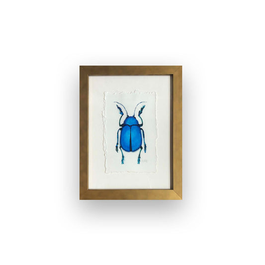 Watercolor Collection: Peacock Beetle