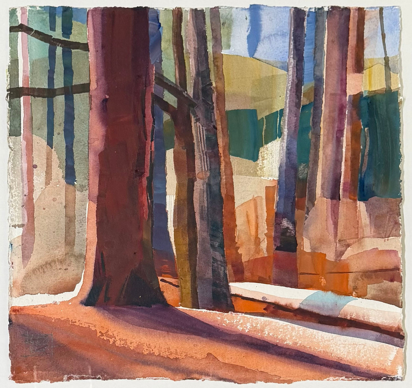 Pine Overlook/ Holly Springs National Forest/ January