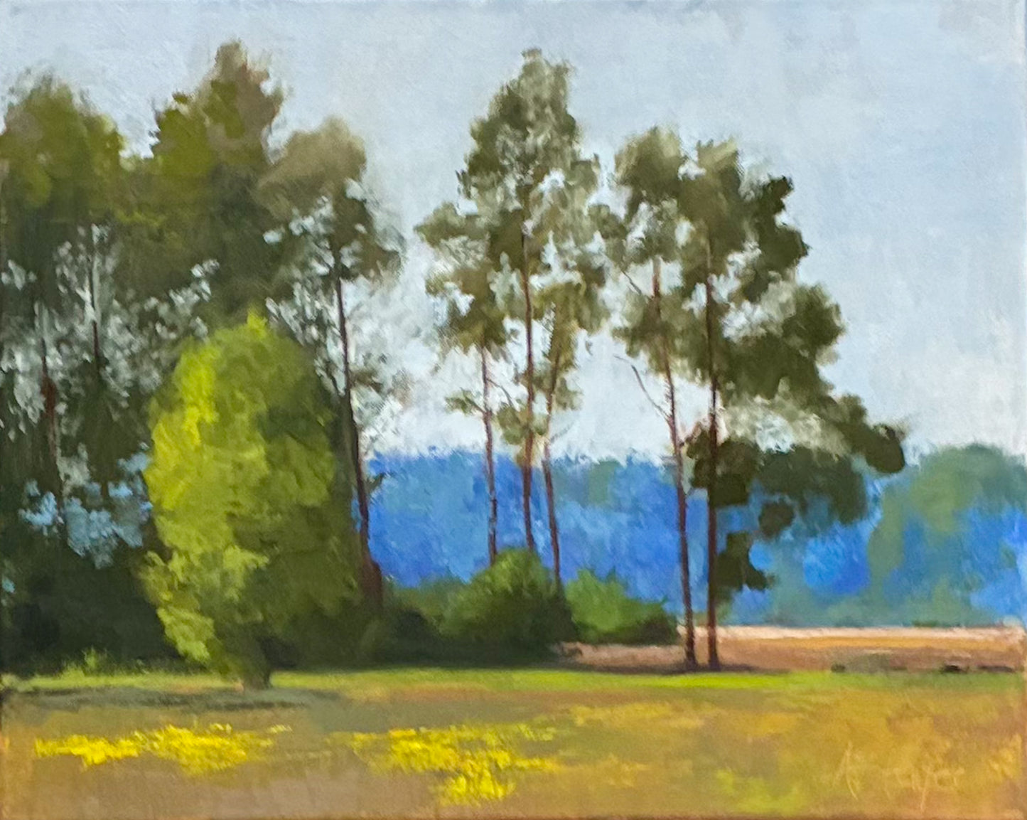 Tides, Fields, and Familiar Roads - Pines