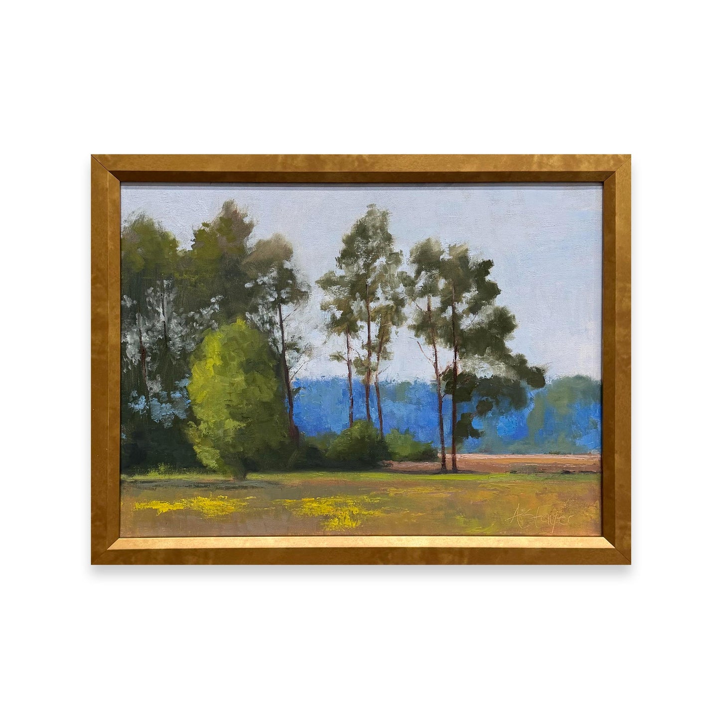 Tides, Fields, and Familiar Roads - Pines