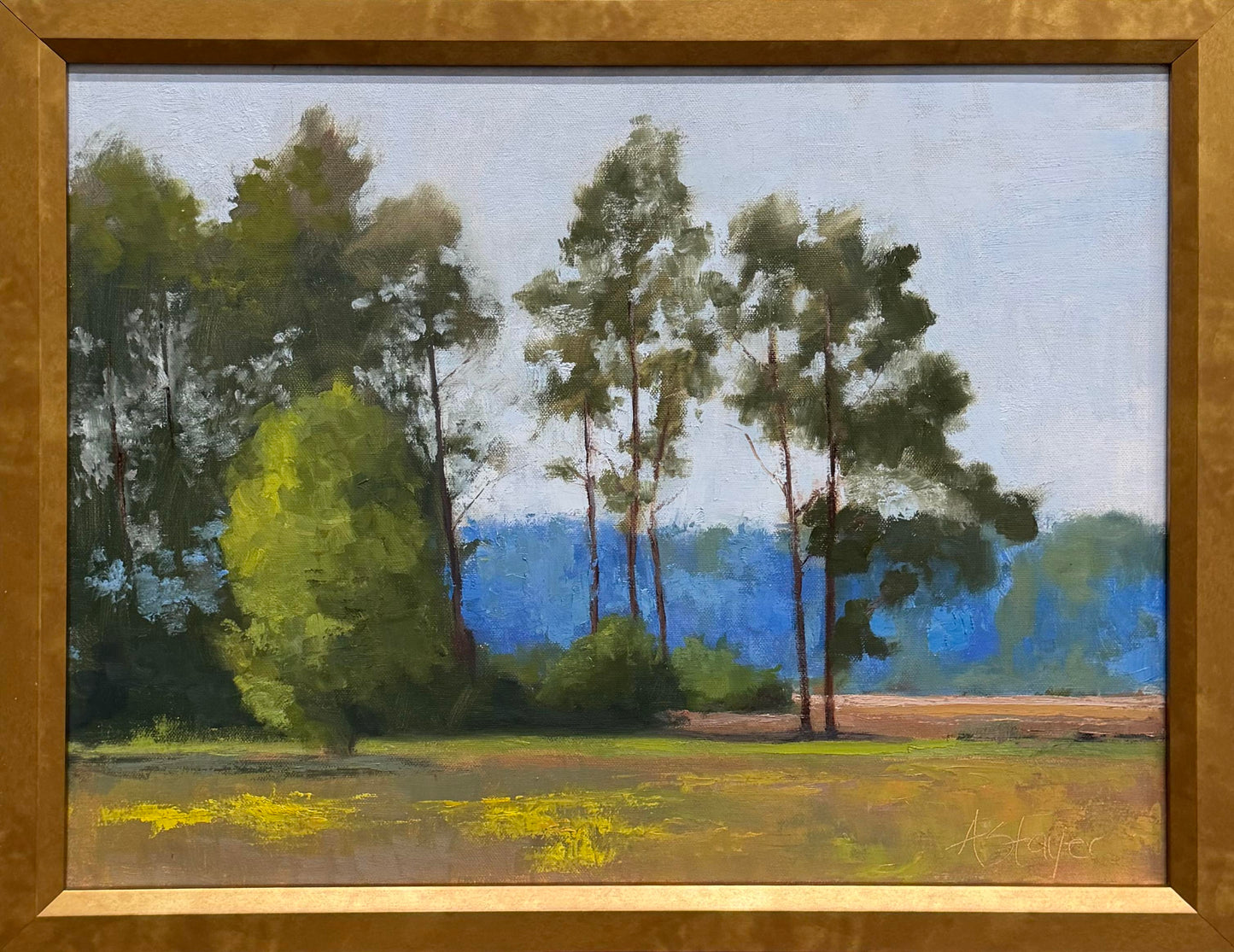Tides, Fields, and Familiar Roads - Pines