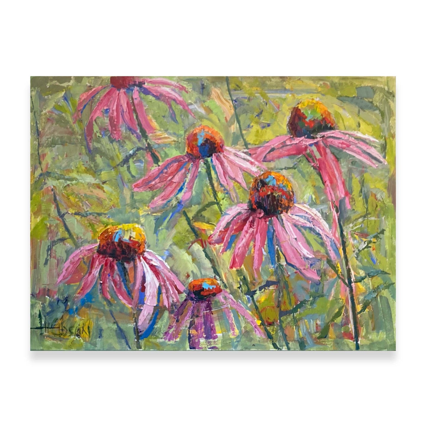 Pink Coneflowers