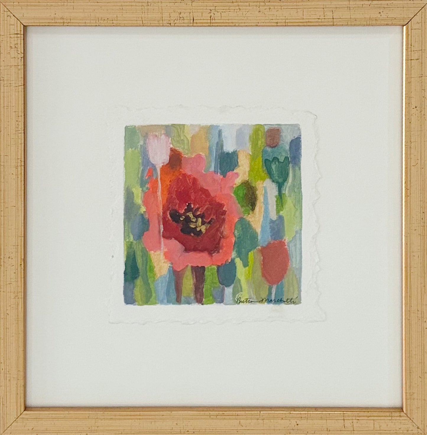 Poppies & Wildflowers -  Red Poppy