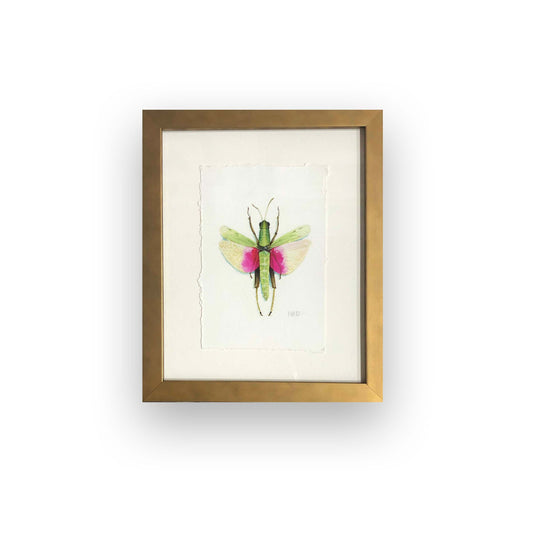 Watercolor Collection: Ricefield Grasshopper