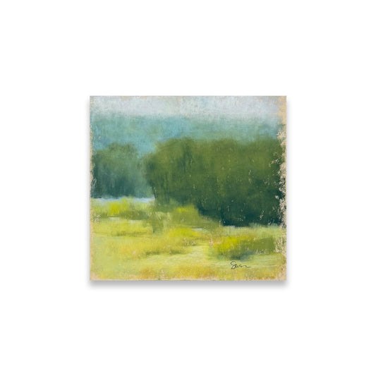 A Place of Stillness - River Meadow