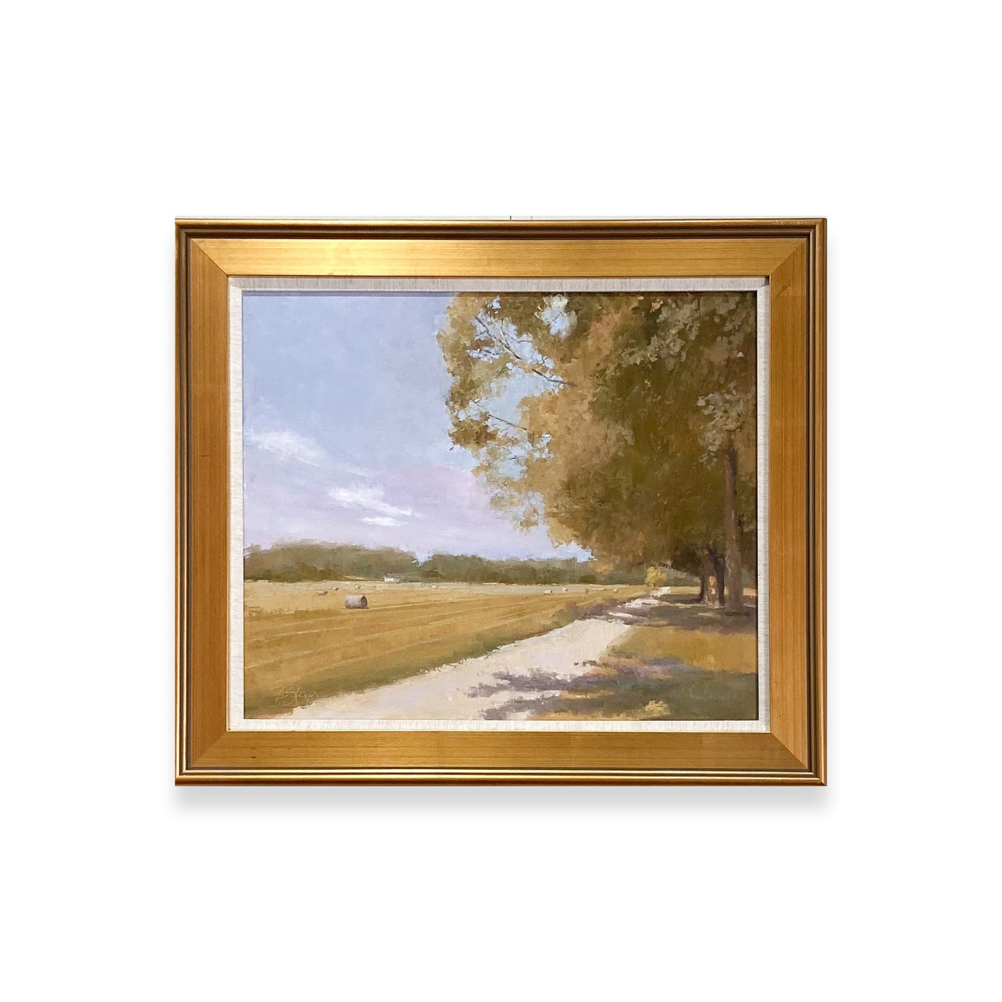 Shaded Drive