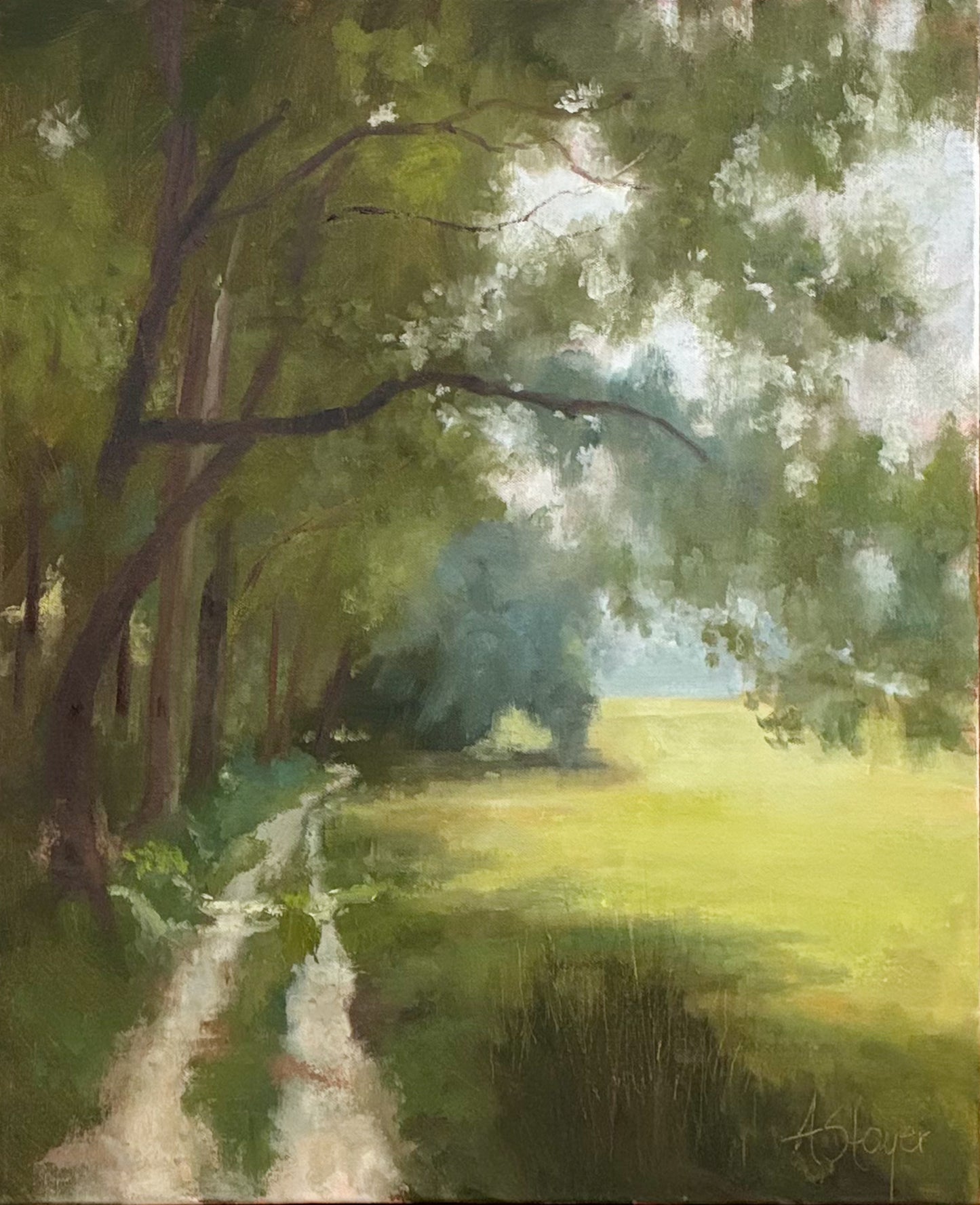Tides, Fields, and Familiar Roads - Shaded Path