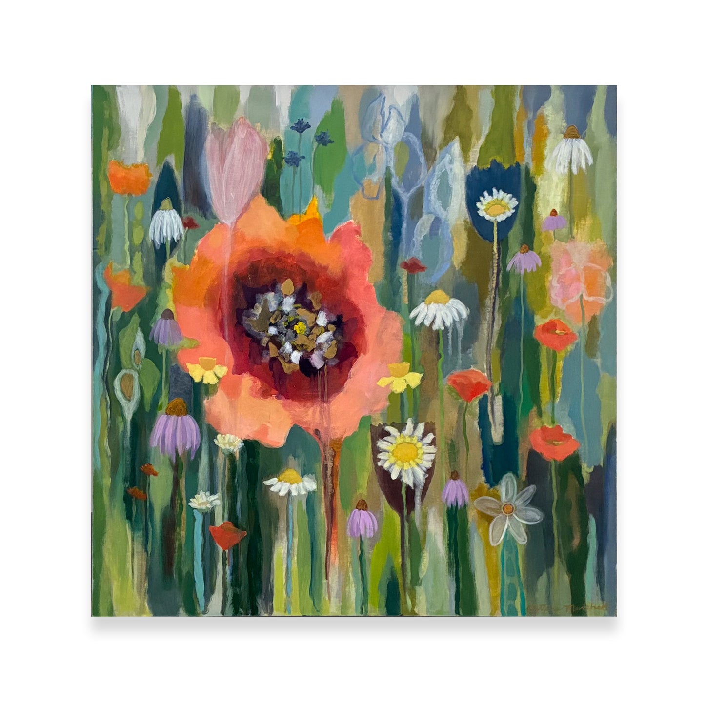 Poppies & Wildflowers - Spanish Poppy & Daisies