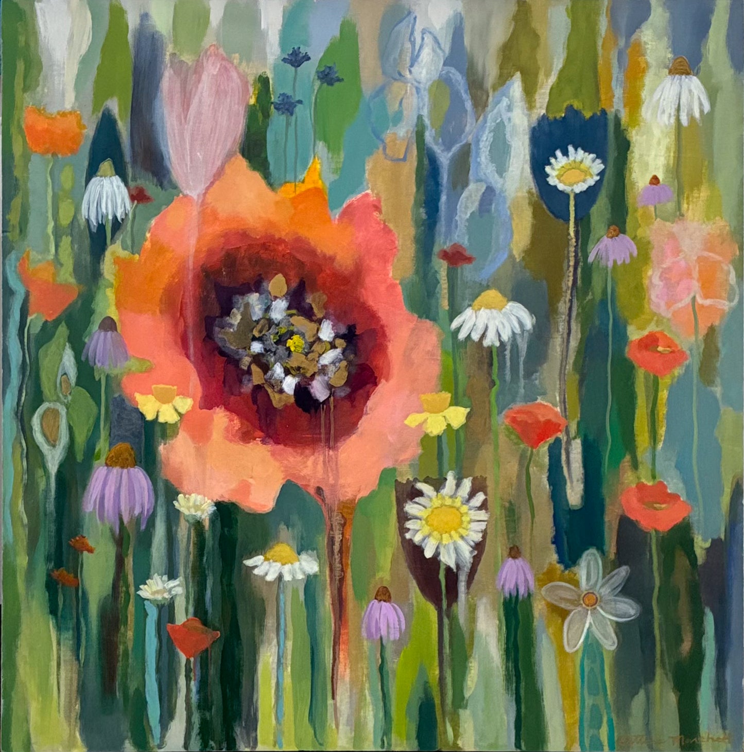 Poppies & Wildflowers - Spanish Poppy & Daisies