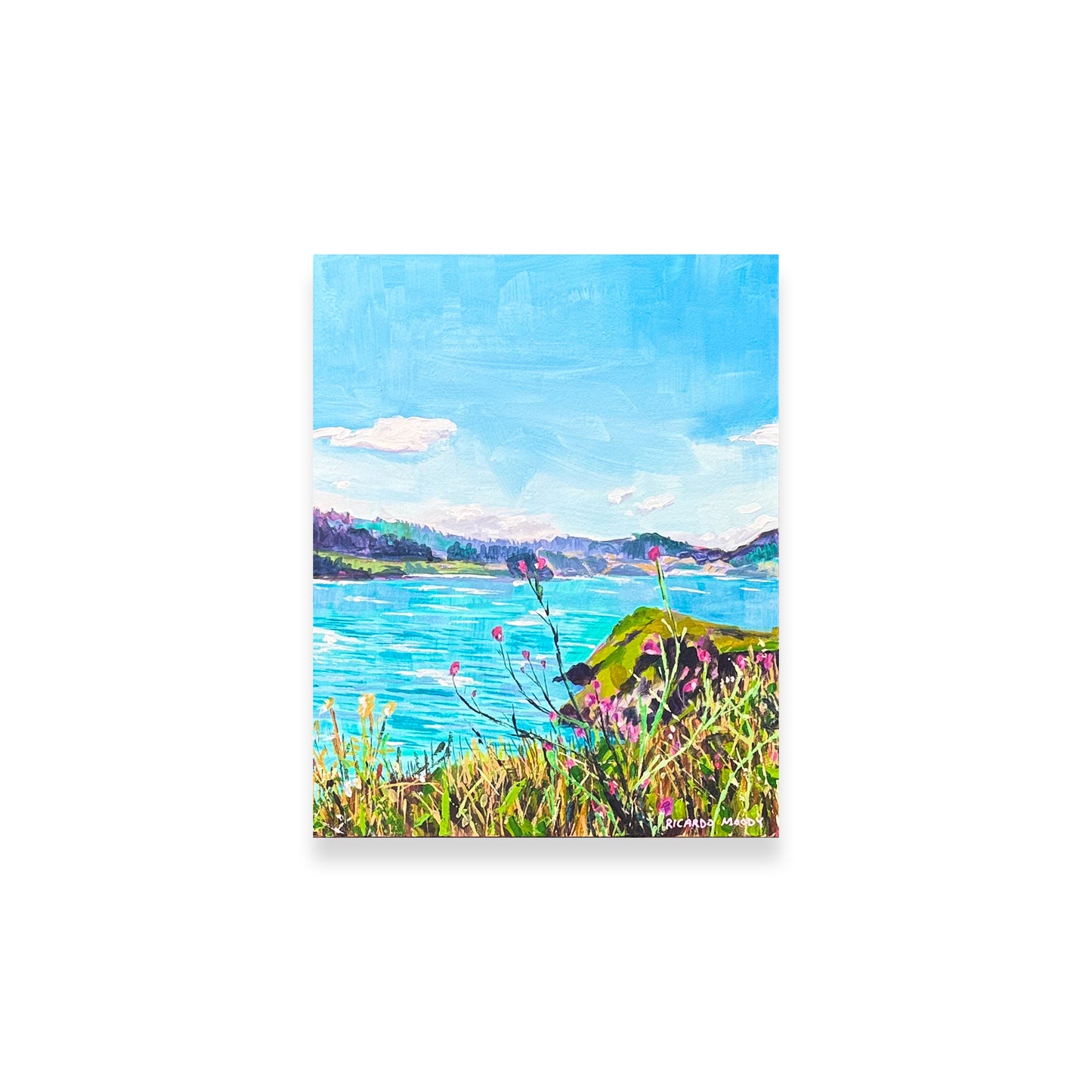 Studies in Solitude - Headlands