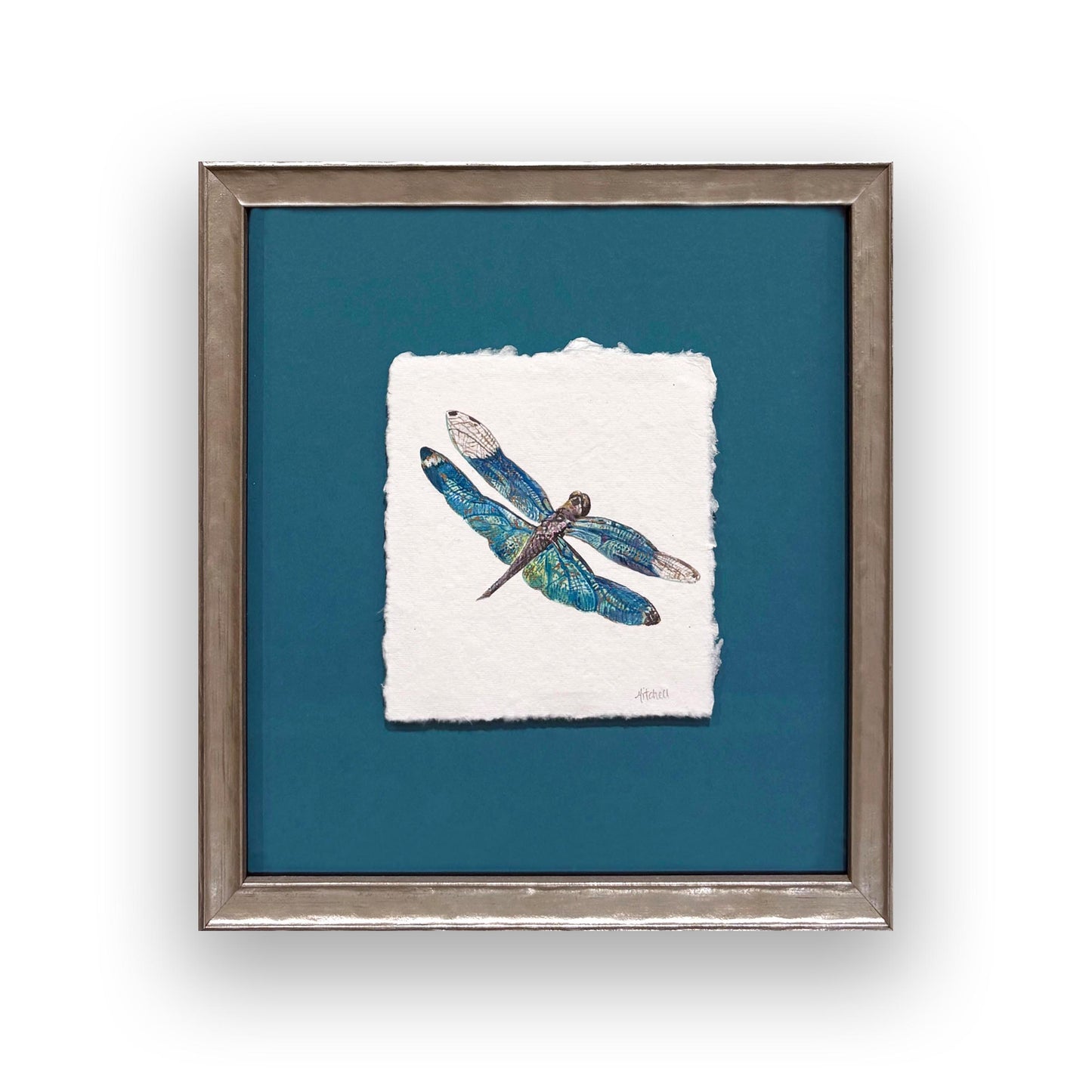 Summer Dragonfly