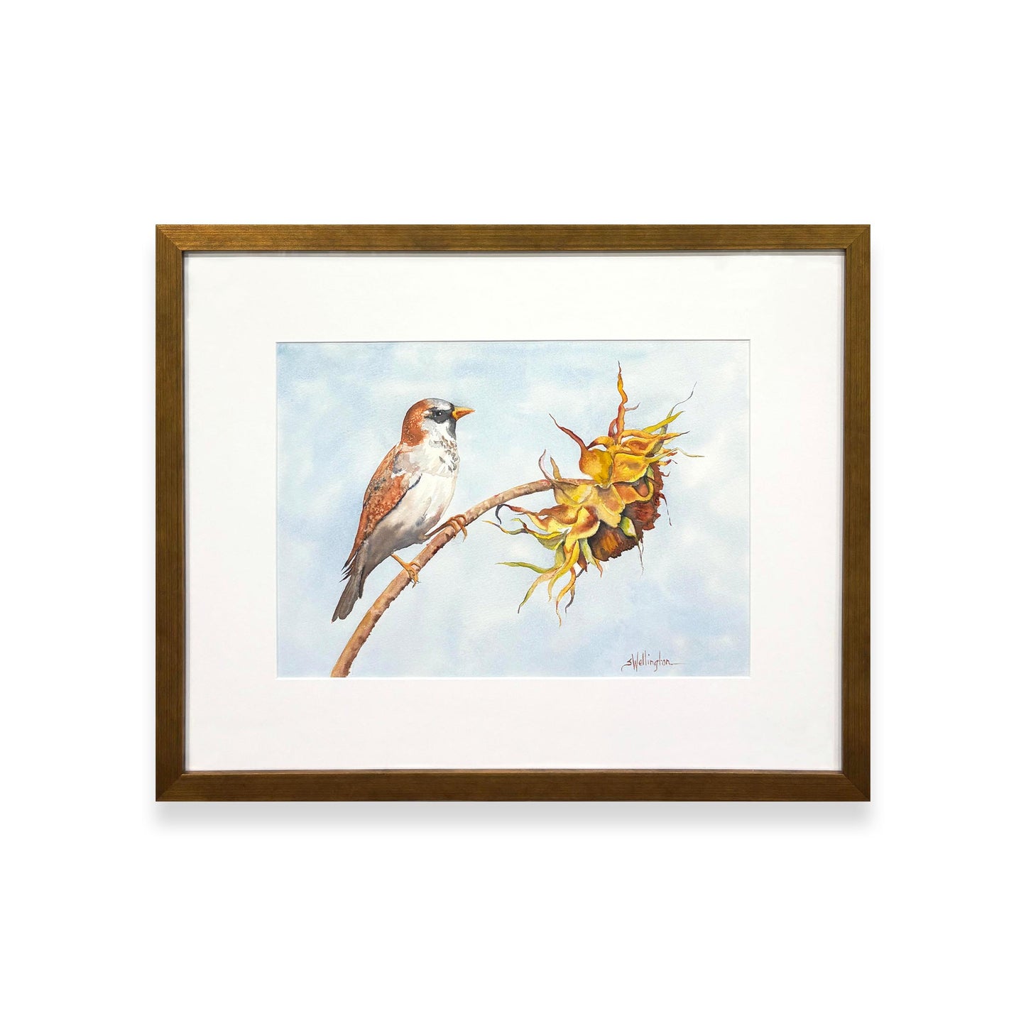 Sunflower Sentry