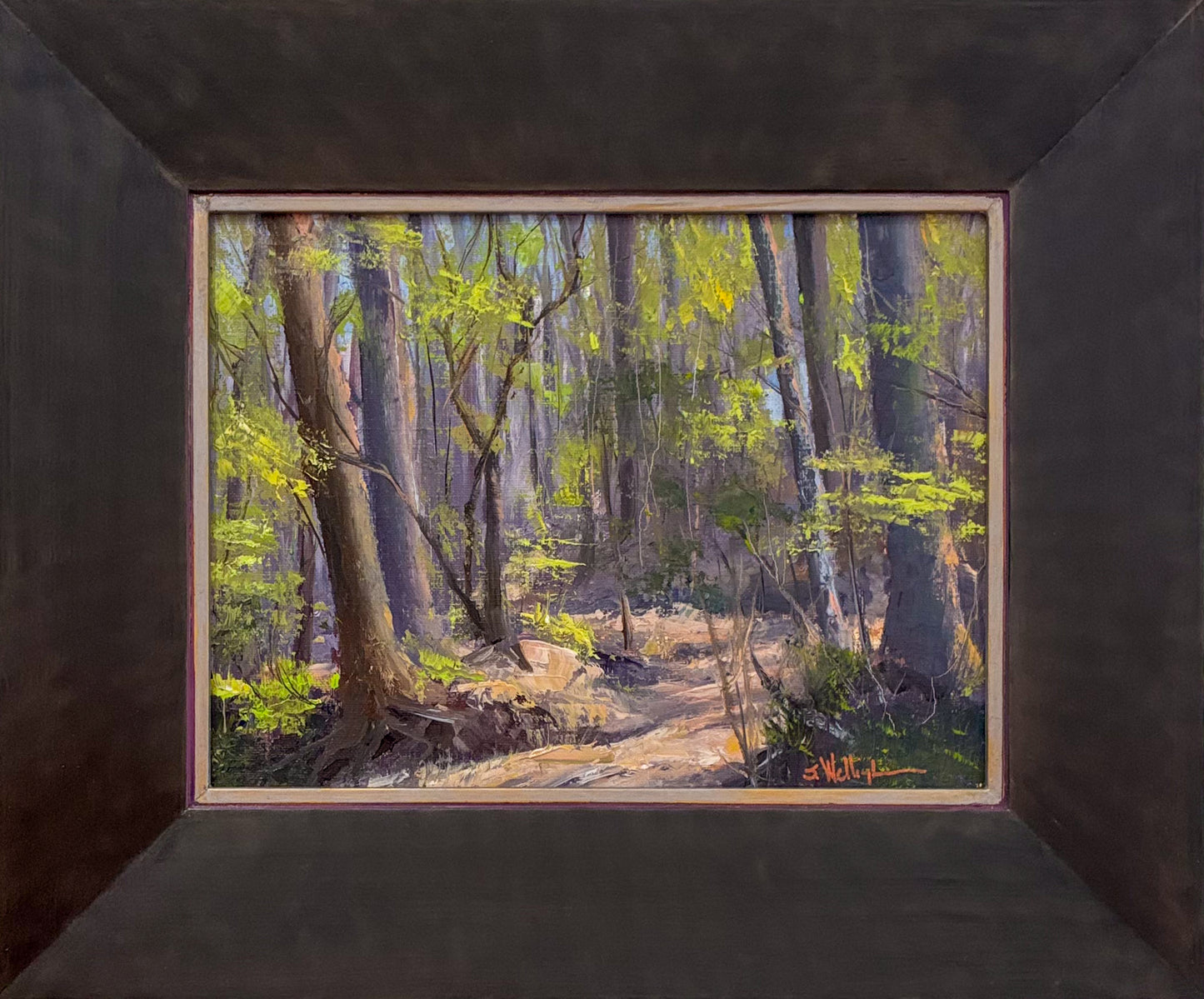 Mississippi: In A Certain Light - Sunlit Passage