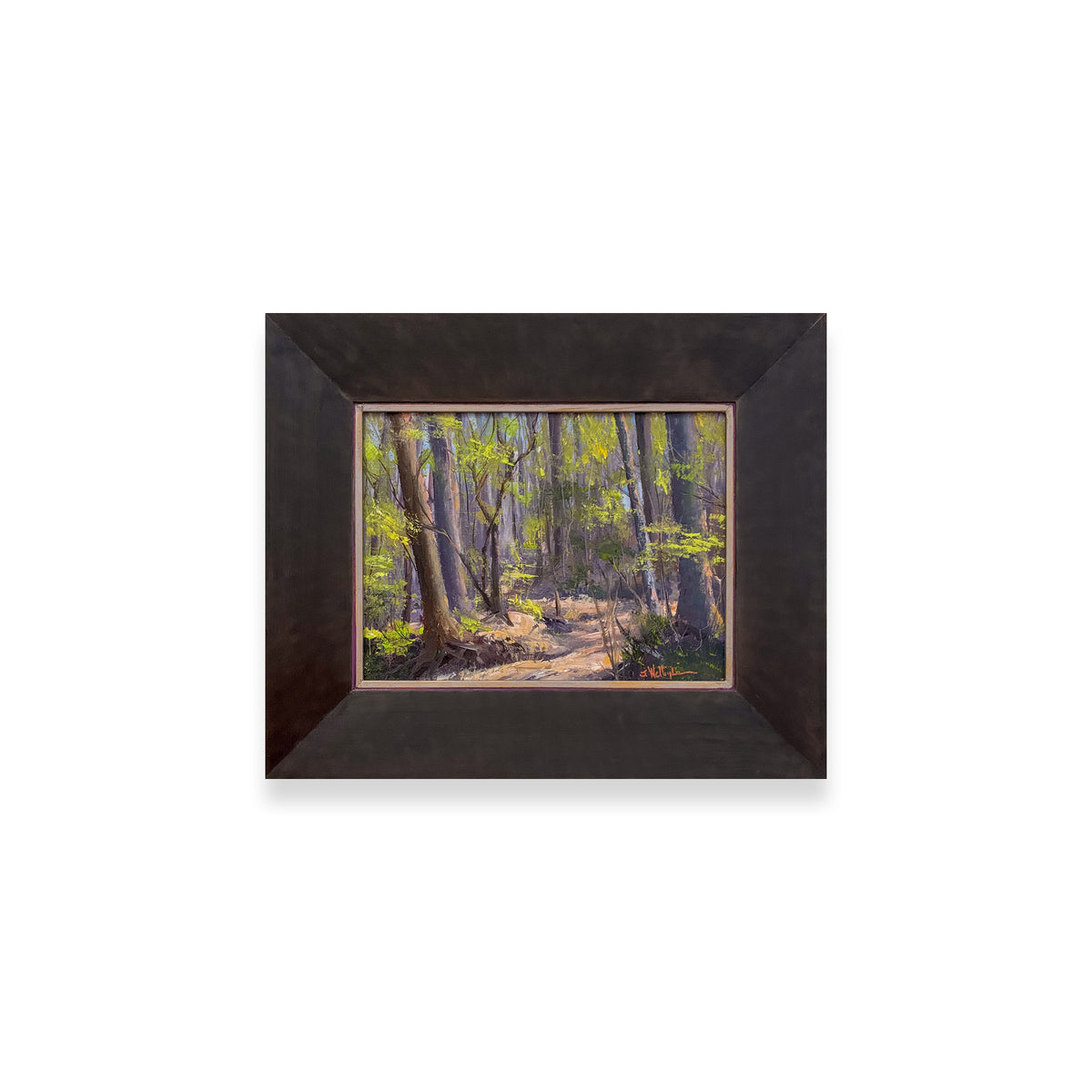 Mississippi: In A Certain Light - Sunlit Passage