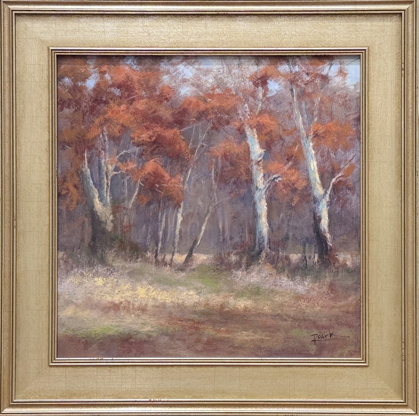 Sycamores In Season